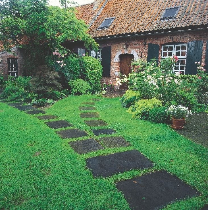 Iskoristite boje kao sredstvo za uređenje