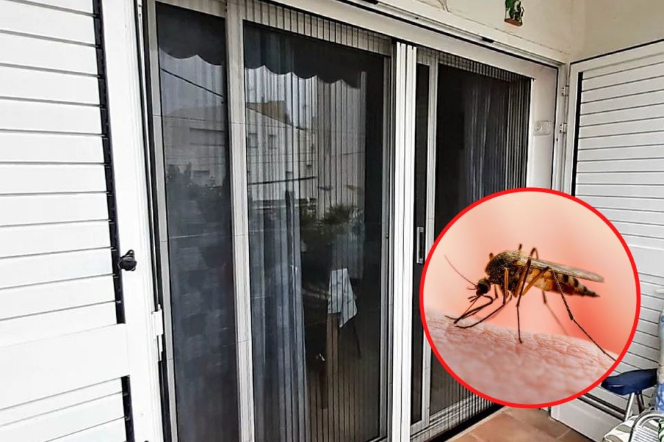 komarnik zastita mrezica komarci