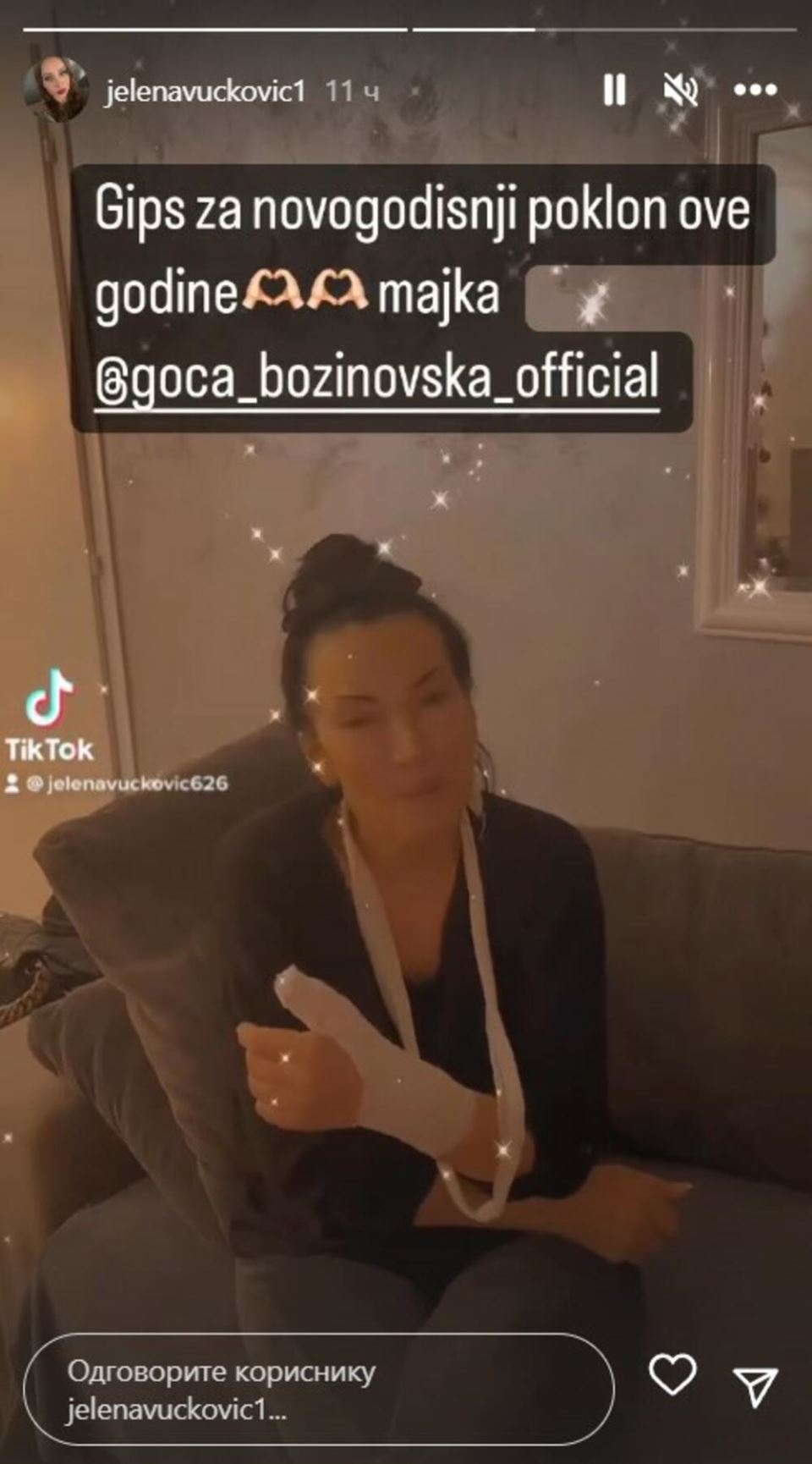 goca bozinovska