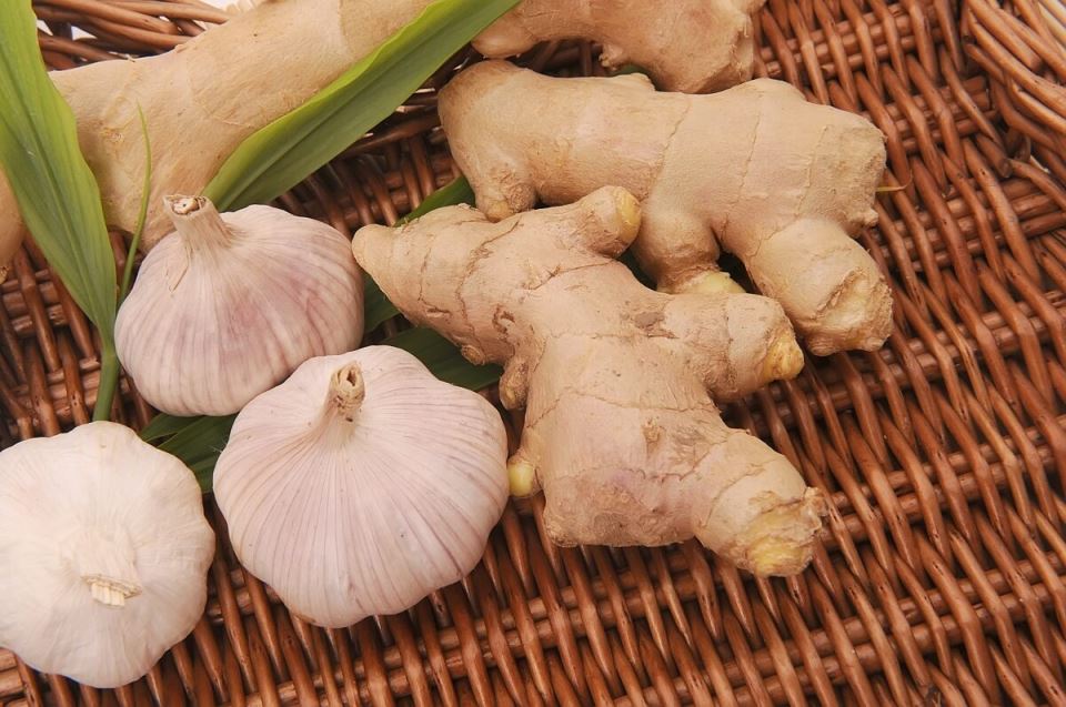 Beli luk, đumbir