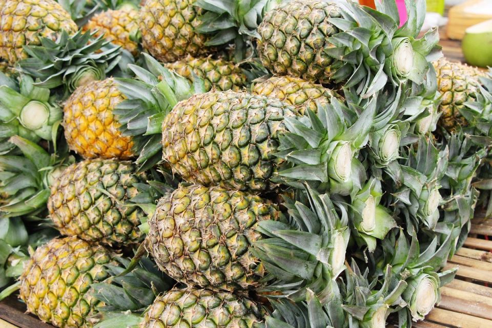 Kako posaditi ananas