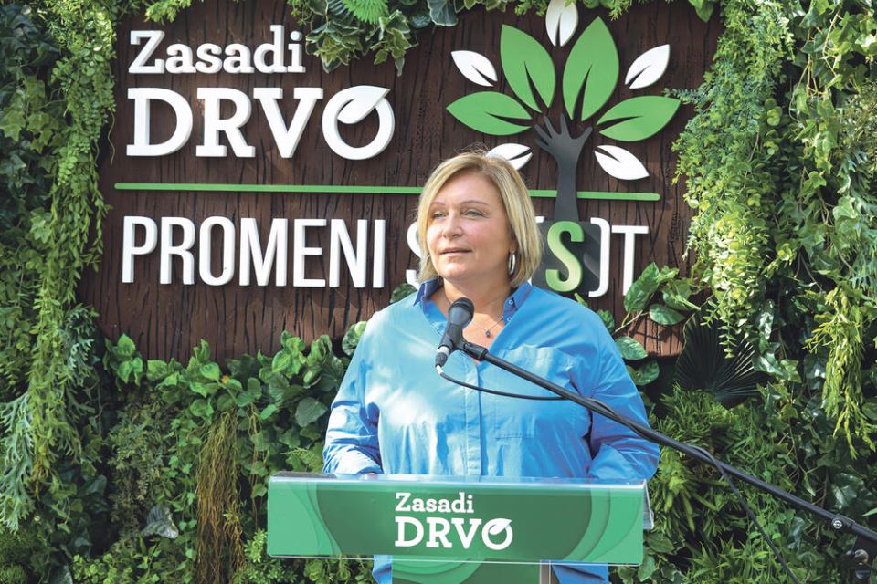 zasadi drvo svetlana jovanovic mitic.jpg