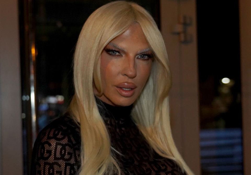 jelena karleusa 2.jpg