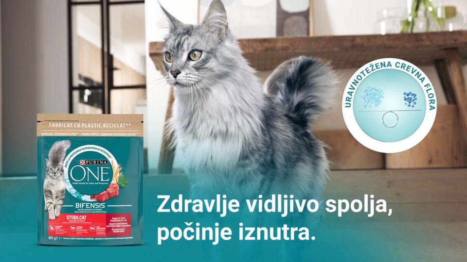 purina.jpg