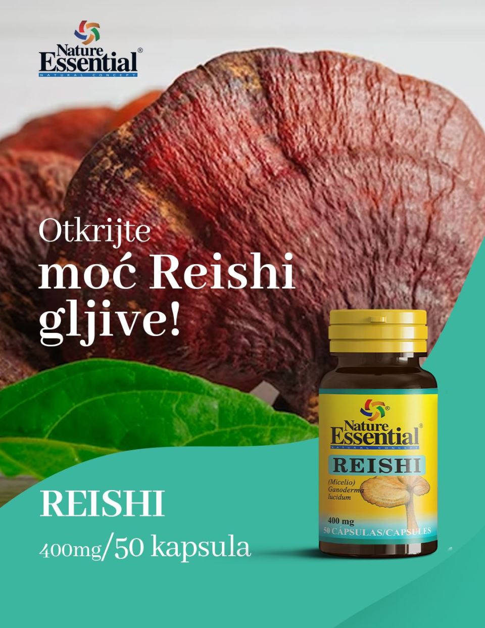 2. Reishi.jpg