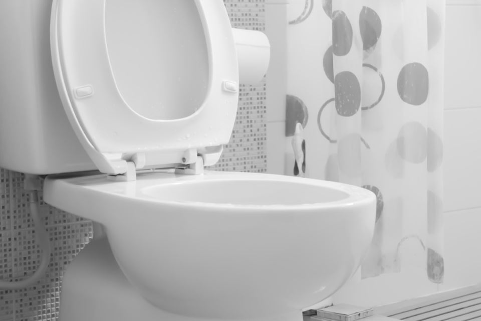 wc solja.jpg