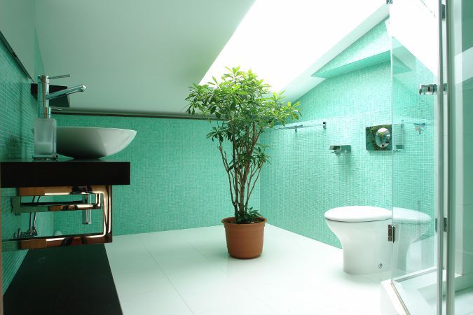 Istaknite kosinu potkrovlja