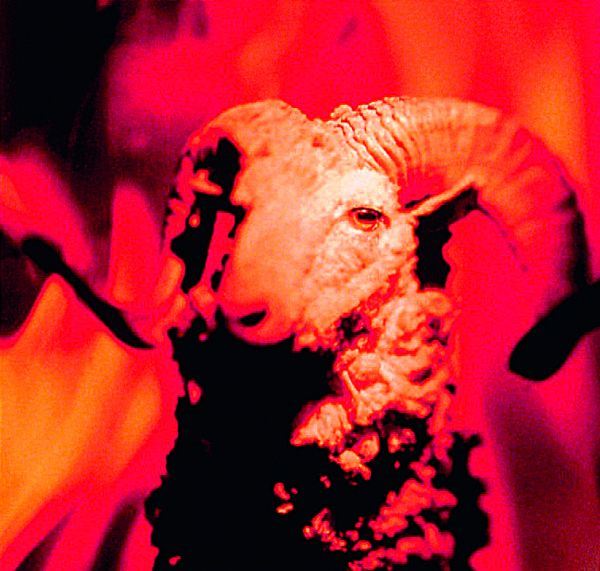 Koji ste znak u indijskom horoskopu