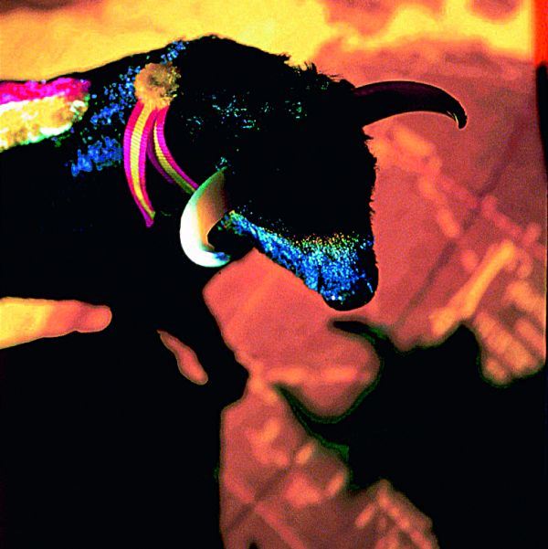 Koji ste znak u indijskom horoskopu