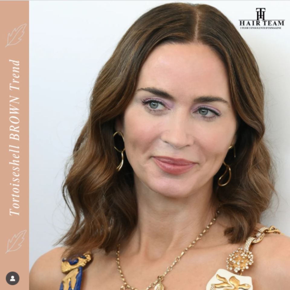 Tortoiseshell braon boja kose