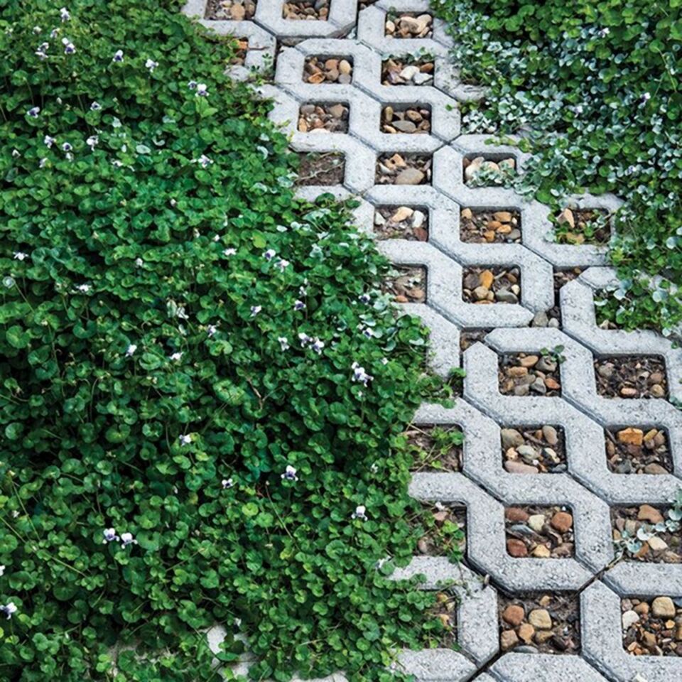 Eco-Grass-Pave-5.jpg