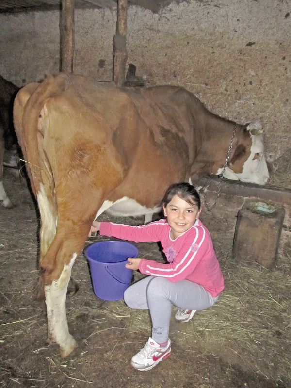 Etno sela Srbije: Idila kosjerićkih sela