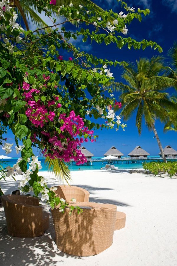 Bora Bora: najvredniji dragulj Pacifika (FOTO)