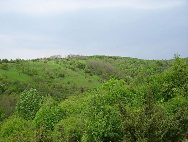 "Viki voli zemlju": upoznajmo prirodna bogatstva Srbije (FOTO)