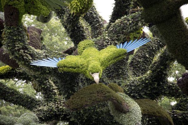 Čudesne skulpture za koje ne biste verovali da su napravljene od cveća