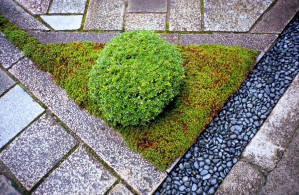 6 zanimljivih načina da upotrebite kamenčiće u dvorištu