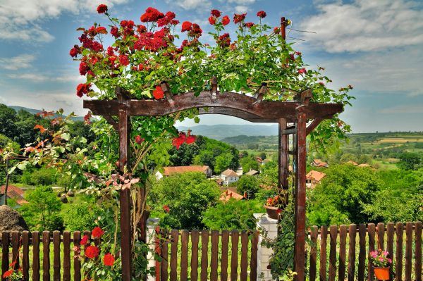 Najlepši odmor u srcu Srbije (FOTO)