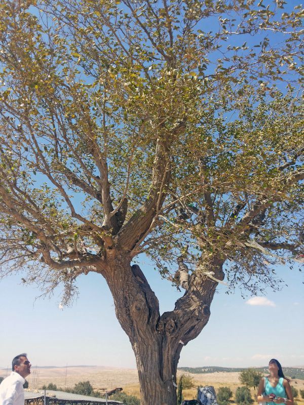 MARDIN: grad koji smo zavoleli zbog Sile