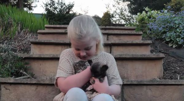 Minut smeha: upoznajte Diznija, psa koji je toliko mali da misli da je mačka! (FOTO+VIDEO)