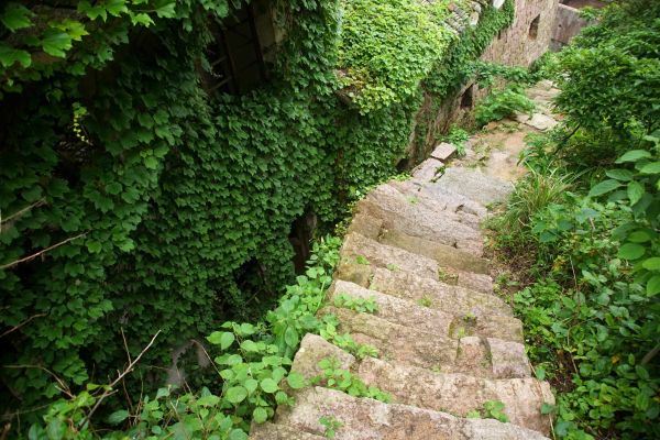 Napušteno selo ušuškano prirodom: nepregledna zelena površina okružena morem (FOTO)