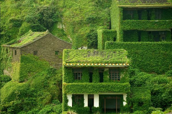 Napušteno selo ušuškano prirodom: nepregledna zelena površina okružena morem (FOTO)