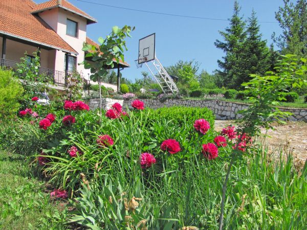 Najlepša bašta u Srbiji 2014. godine: zeleno carstvo Šumadije (FOTO + VIDEO)