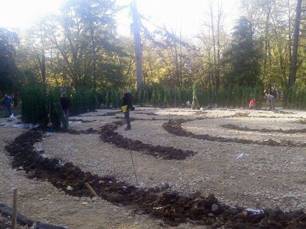 Prvi lavirint-park zasađen u Vrnjačkoj Banji od 440 sadnica čempresa! (FOTO)