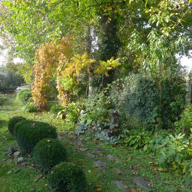 Vaše bašte: romantična oaza sa jezerom porodice Rajičić u Velikom Gradištu (FOTO)