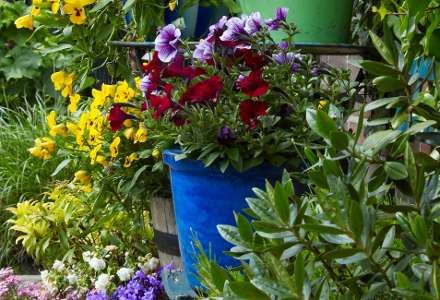 Lepo i kad je hladno