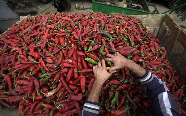 Crvena paprika proslavila selo kraj Leskovca: Donja Lokošnica osvojila ceo svet kućama ukrašenim nizovima paprike (FOTO)