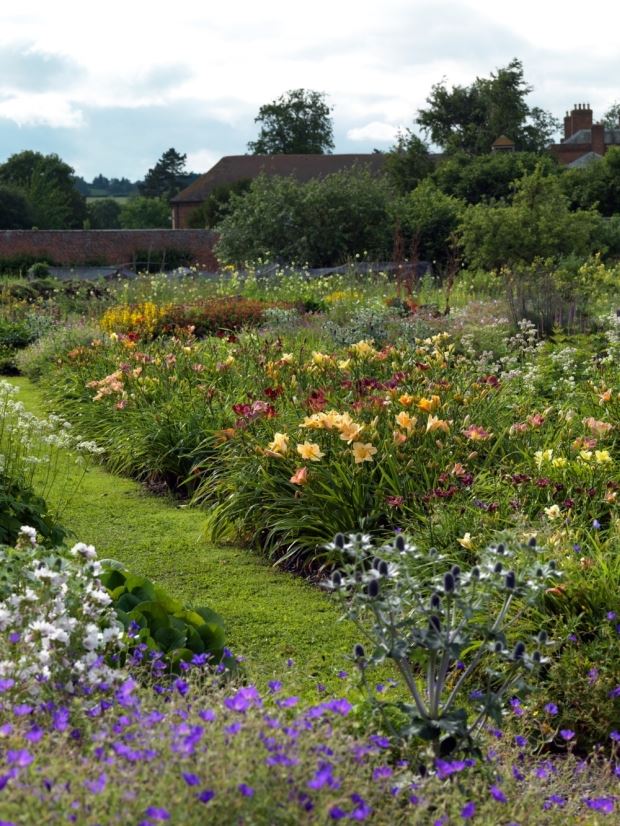 (VIDEO) Vrt ljiljana: rajska bašta za ljubitelje hemerokalisa