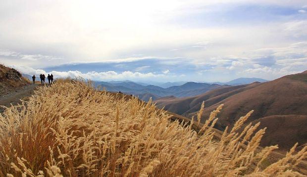 10 najlepših planina u Srbiji: osetite duh i magiju prirode od Fruške Gore do Prokletija