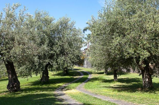 STARINSKA KUĆA SA BAZENOM: zavirite u italijansku vilu sa najlepšim pogledom na more (FOTO)