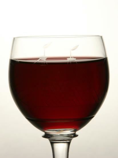 Mali vinski leksikon