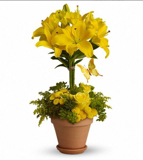 Cvetni pokloni za radosne prilike