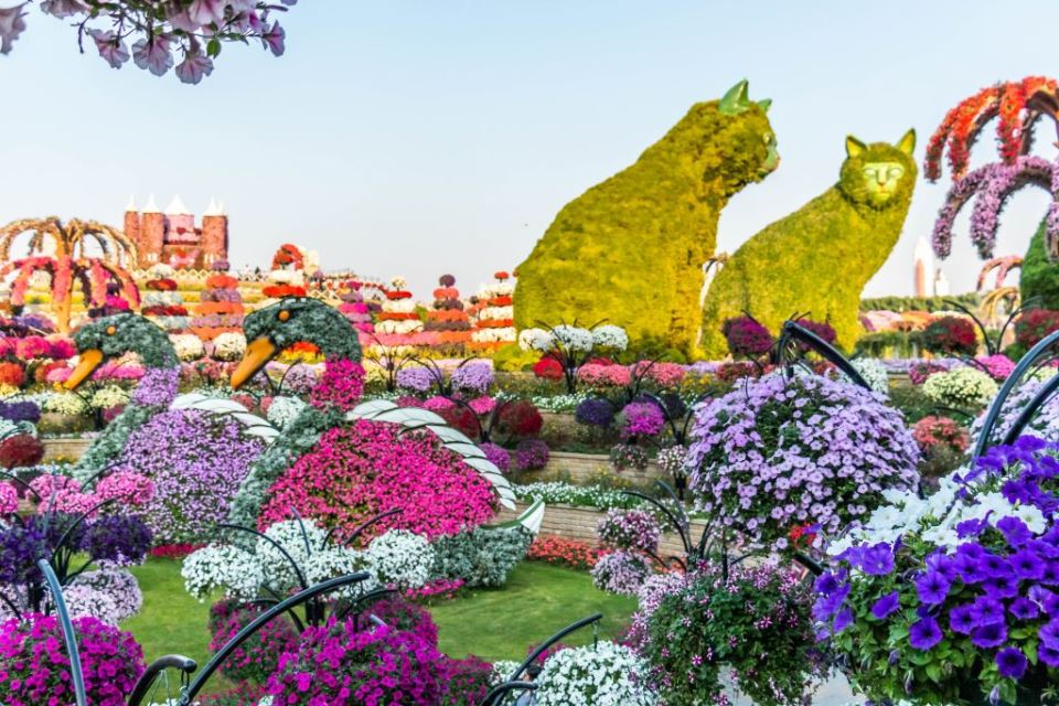 ČUDESNI VRTOVI U DUBAIJU: zavirite u vrt MIRACLE GARDEN