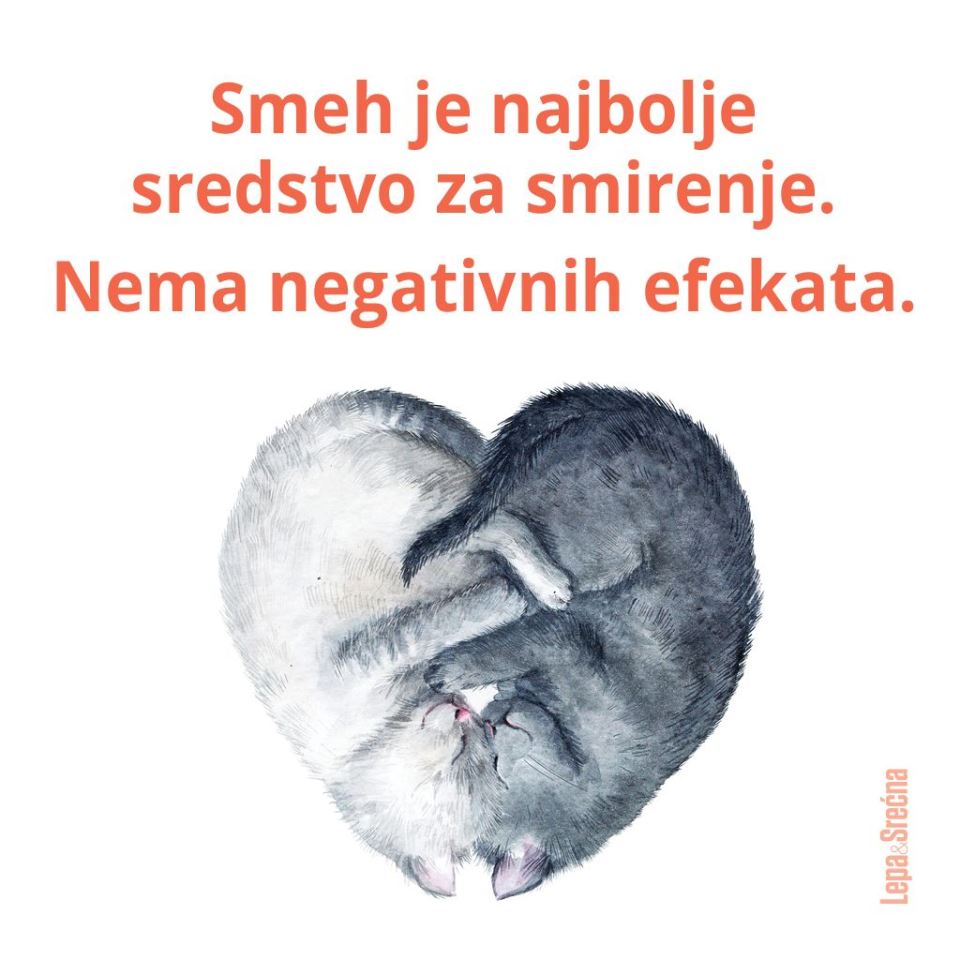 PORUKE ZA 1. APRIL: citati o smehu i šaljive čestitke za Dan šale (FOTO)