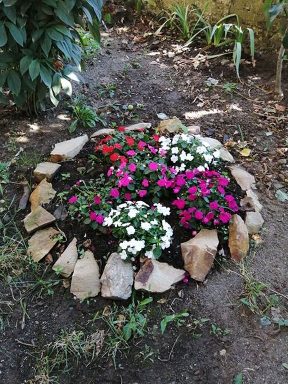 LETNJA BAŠTA I CVEĆE NAŠE ČITATELJKE SVETLANE VASIĆ BUDE INSPIRACIJU: zavirite u pravo carstvo petunija, begonija, lepog jove i muškatli (FOTO)