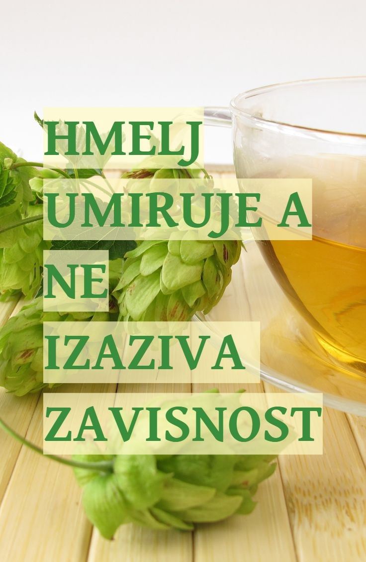 HMELJ UMIRUJE A NE IZAZIVA ZAVISNOST: mešavine čaja od hmelja za zdrave živce i dobar san, protiv napetosti i anksioznos