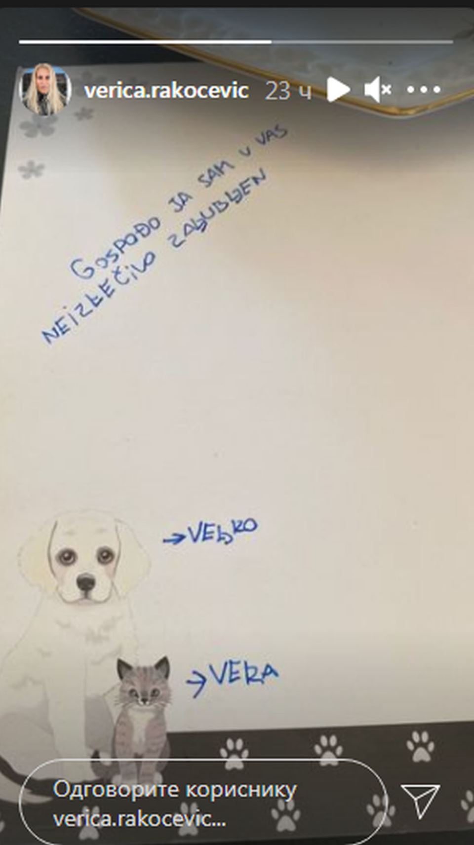 verica rakocevic veljko kuzmancevic