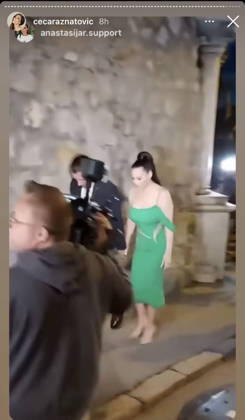 cecin rodjendan ceca raznatovic instagram